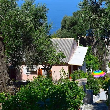 Kiki'S Beautiful House On Famous Village Pentati Luaran gambar
