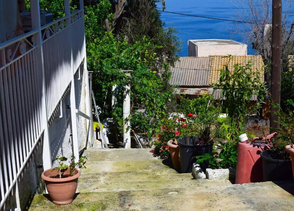 Kiki'S Beautiful House On Famous Village Pentati Luaran gambar